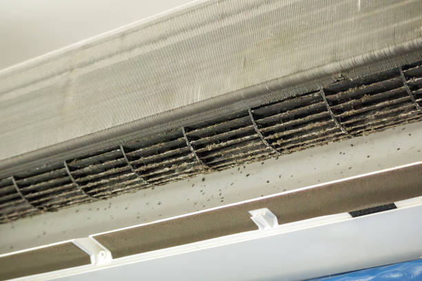 Best Ductwork Cleaning Services  in Homestead, FL