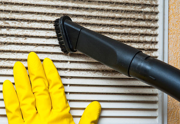 Best Affordable Duct Cleaning Services  in Homestead, FL